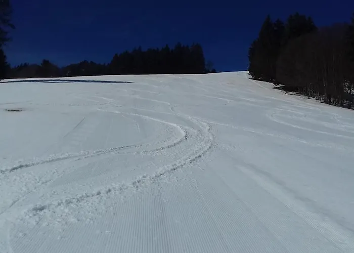 Sonnenwinkel C37 Haus Feldbergblick * Lenzkirch